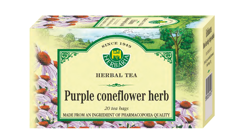 Purple coneflower herb (Echinacea tea)